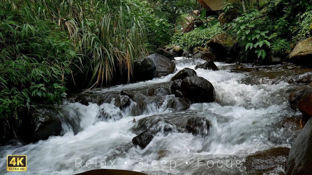 River Sounds for Deep Sleep & Relaxation | Nature ASMR from Indonesia