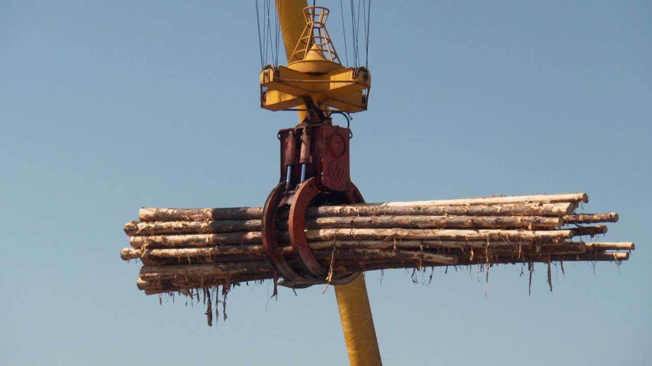 Alabama Lumber Mill - America's Heartland