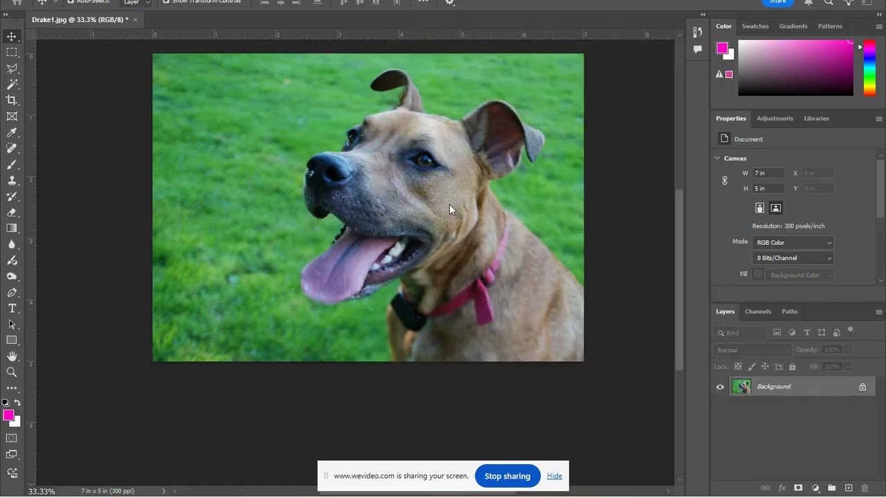 Print Size Photoshop Demo