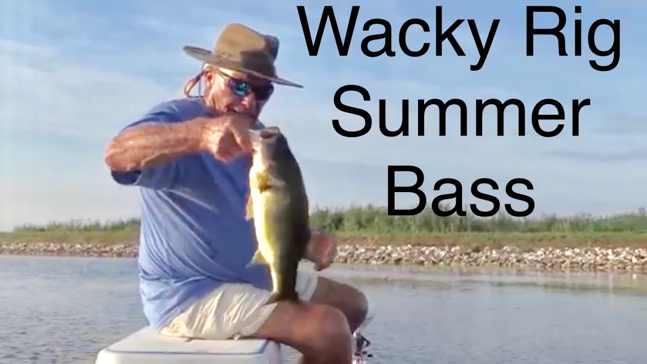 Wacky Rig for Hot Summertime Bass