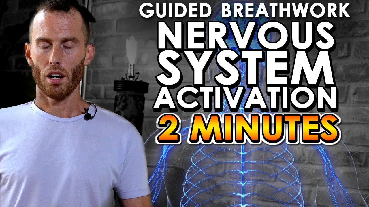 2 MIN Guided Breathwork | Nervous System ACTIVATION