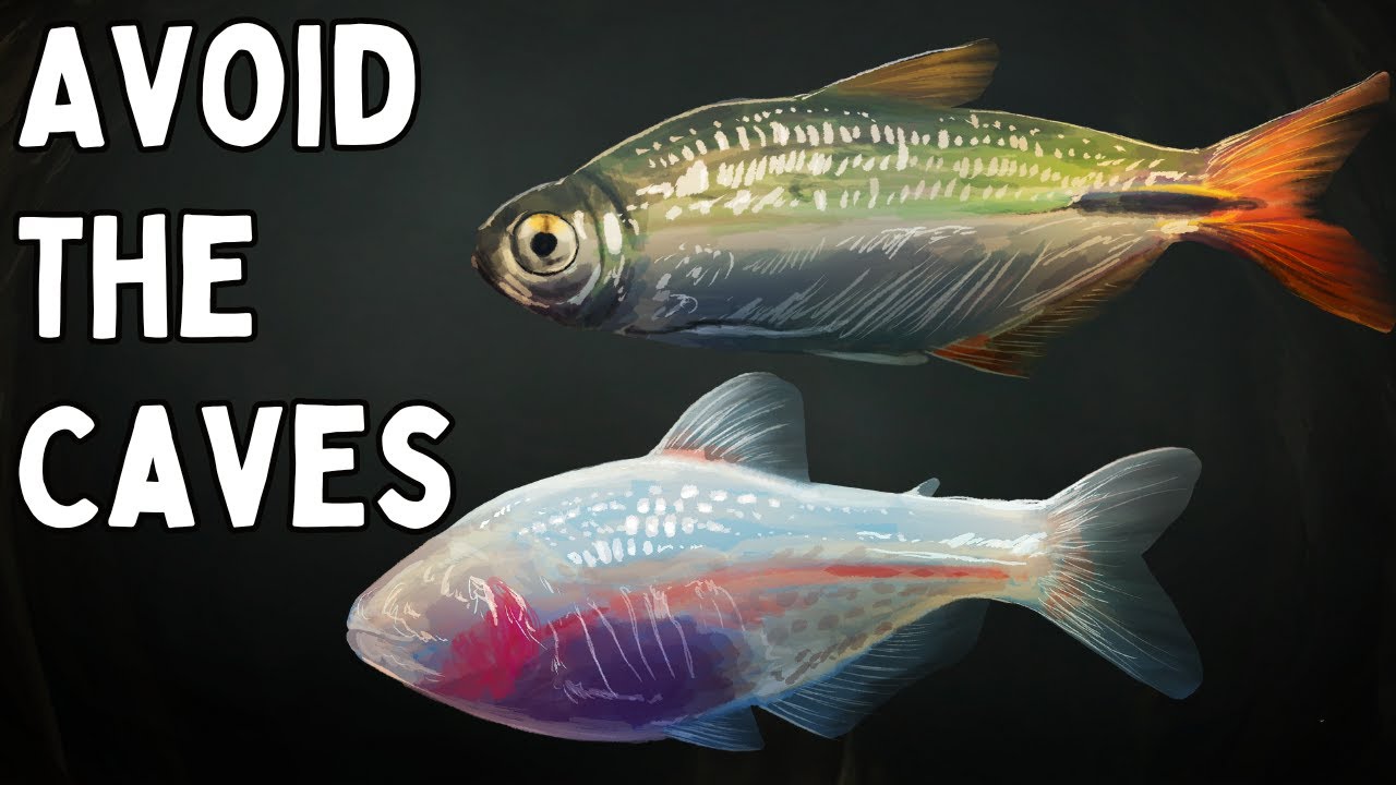 When You Trap A Fish In A Cave Forever, This Happens