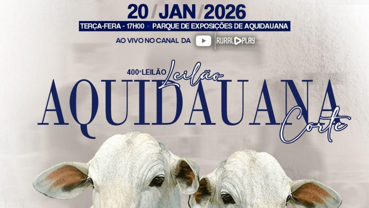 400º LEILÃO MARCA P REMATES - AQUIDAUANA/MS - RURAL PLAY