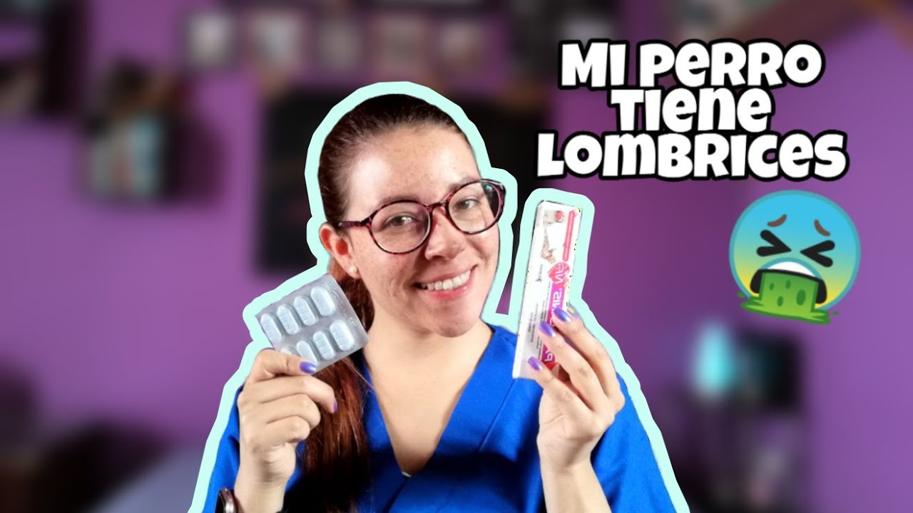 DESPARASITACIÓN en MASCOTAS 🐶🐱✔ | Dra. Vet