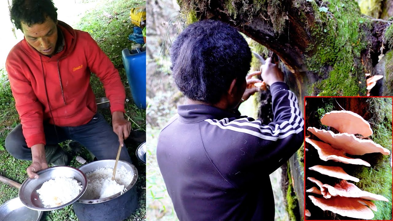 Finding Himalayan WILD MUSHROOM by a shepherd Boy || Rural Nepal Quest