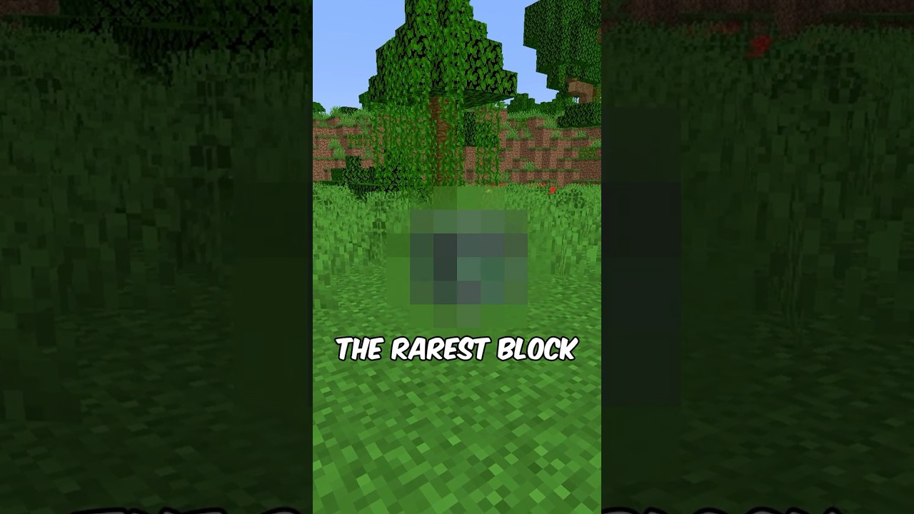 RAREST BLOCK IN MINECRAFT❗❗❗