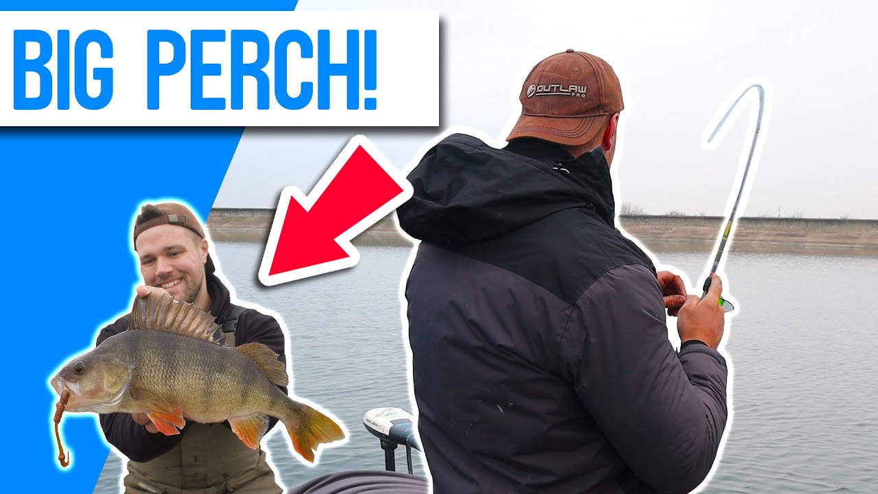 Ловля крупного окуня на водохранилище с приманками!