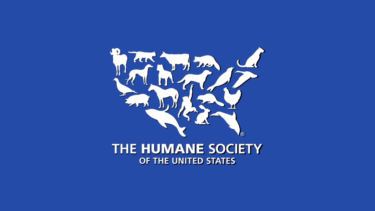The Humane Society of The United States - Kaley Cuoco (2015, USA)