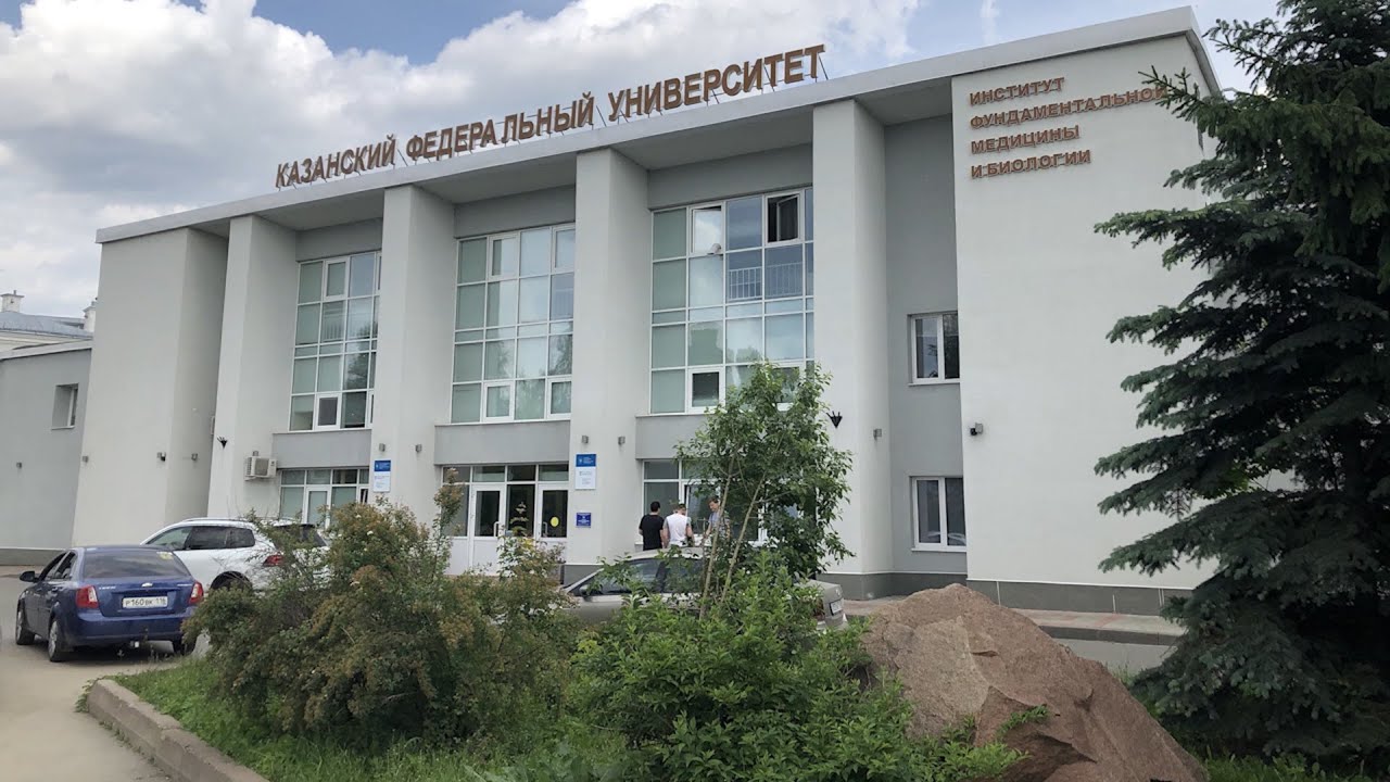 Жемчужина КФУ - Институт фундаментальной медицины и биологии КФУ