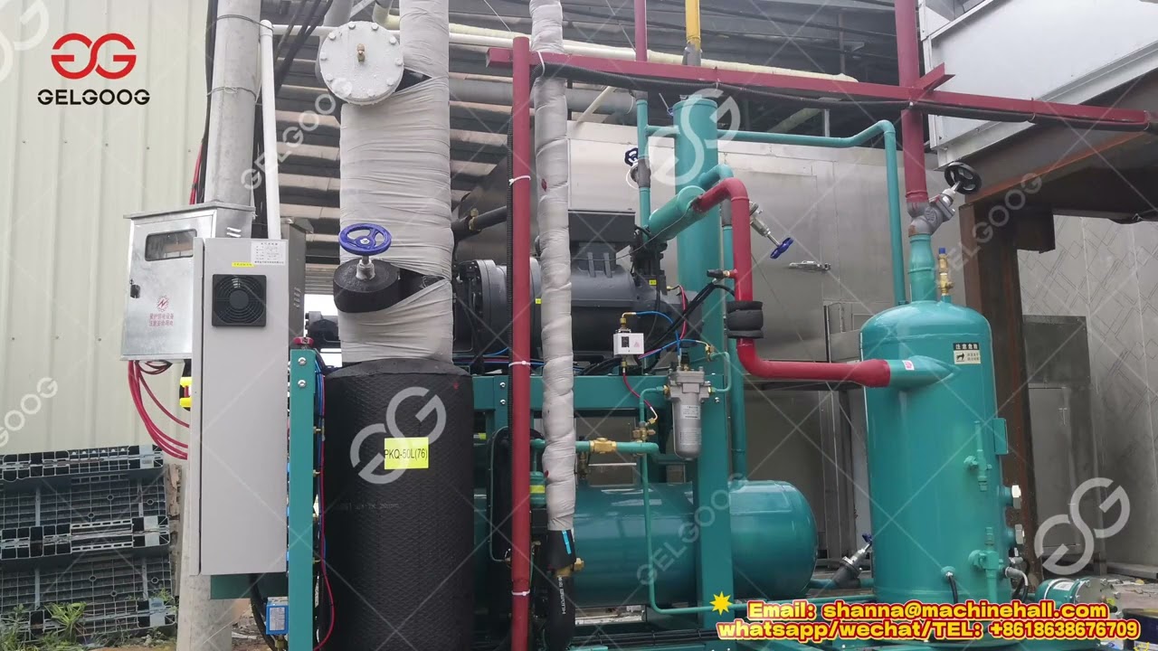 Frozen Mango Processing Line Multipurpose