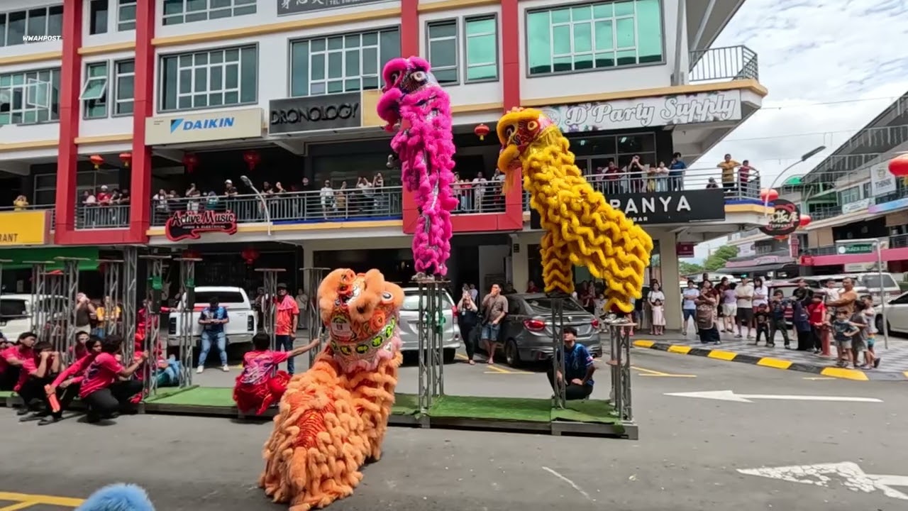 triple lion dance high pole performance by subangs lion dance