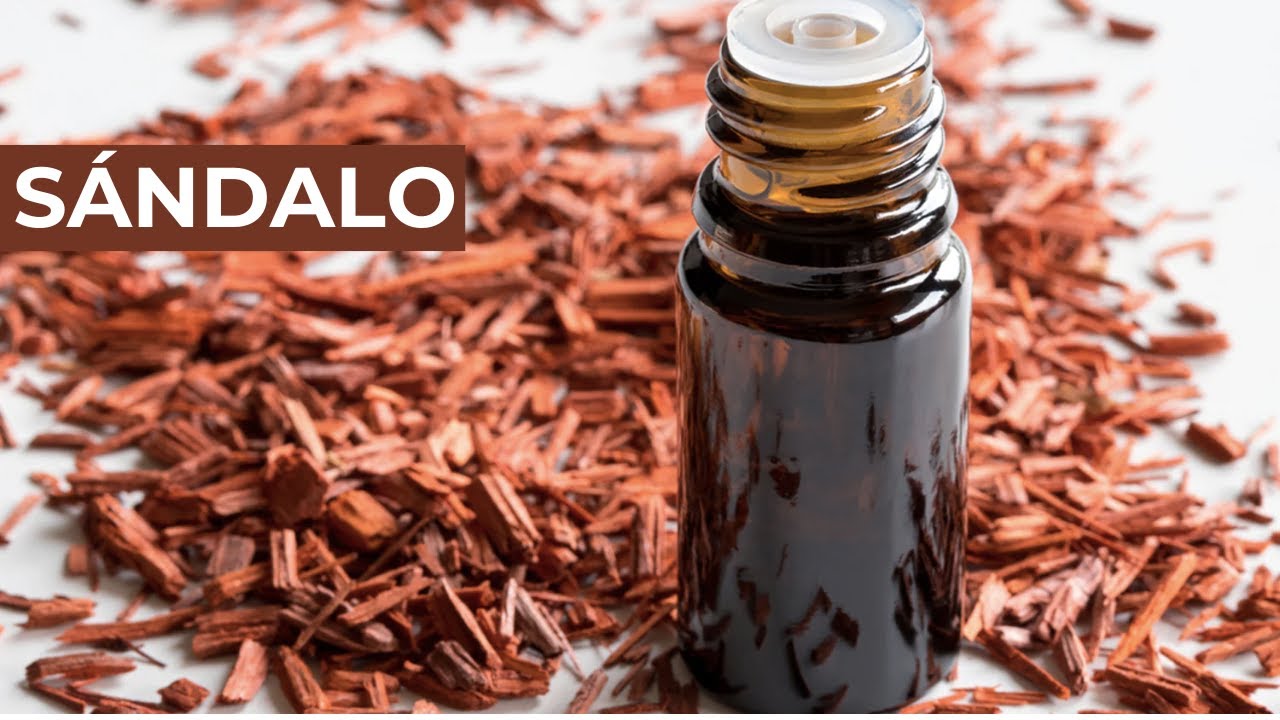 ¿Qué el SÁNDALO?🧡Conoce sus propiedades y beneficios