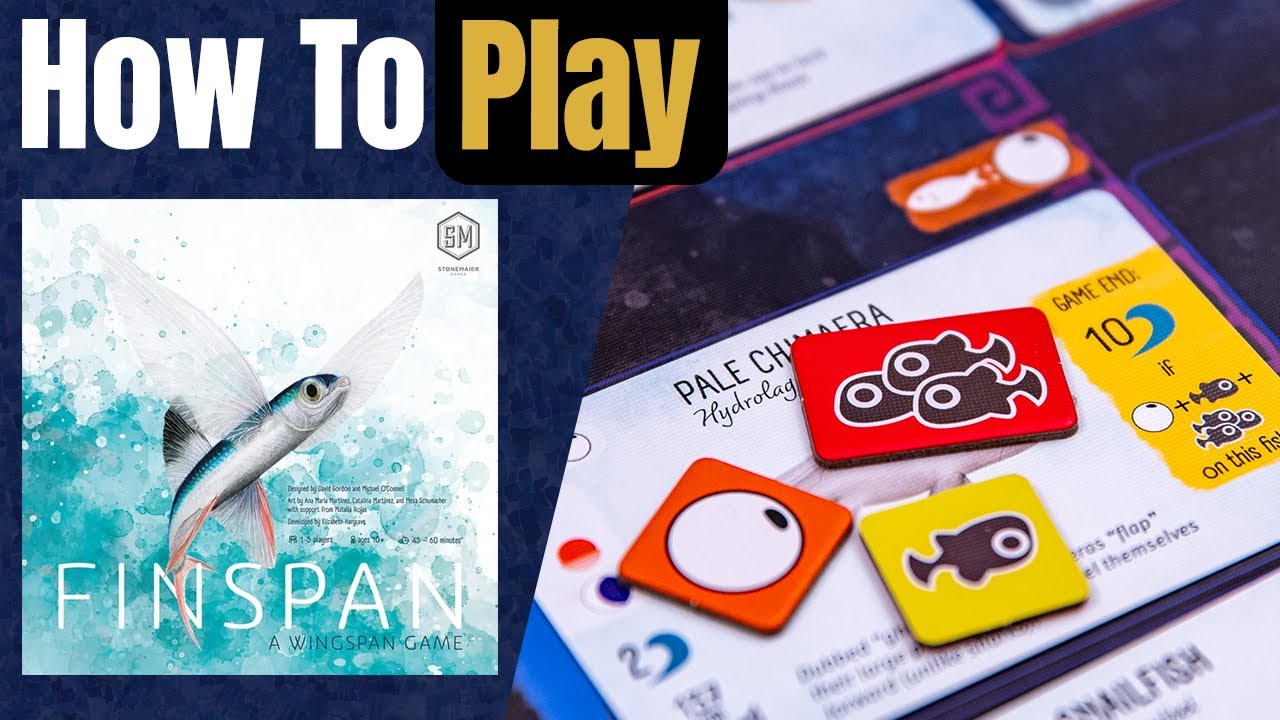 Finspan | Как играть | Научитесь играть за 6 минут!