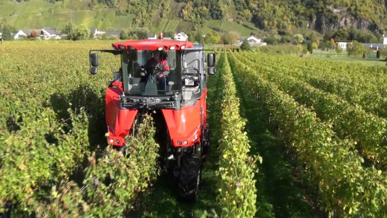 ERO Grapeliner Serie 6000 Traubenvollernter