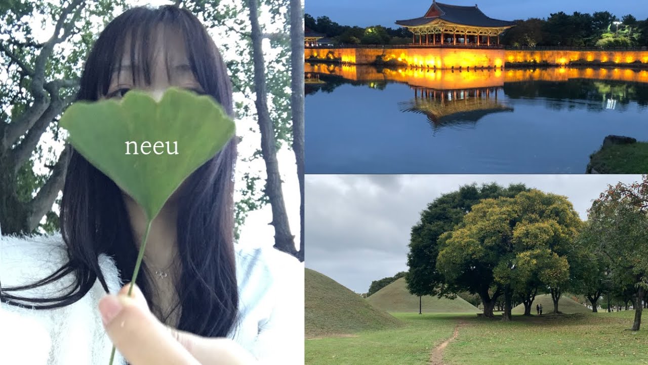 ⋆｡나홀로 가을 경주여행 ₊⋆° *  vlog. 서울출발🚉  -숙소 추천. 1박 2일. 뚜벅이. 비 오는 날 경주🌧️