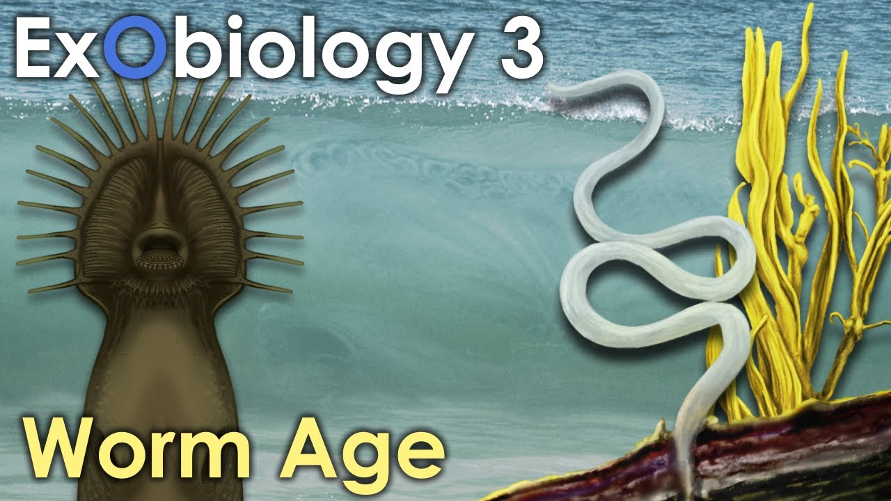 Exobiology: Worm Age [3]