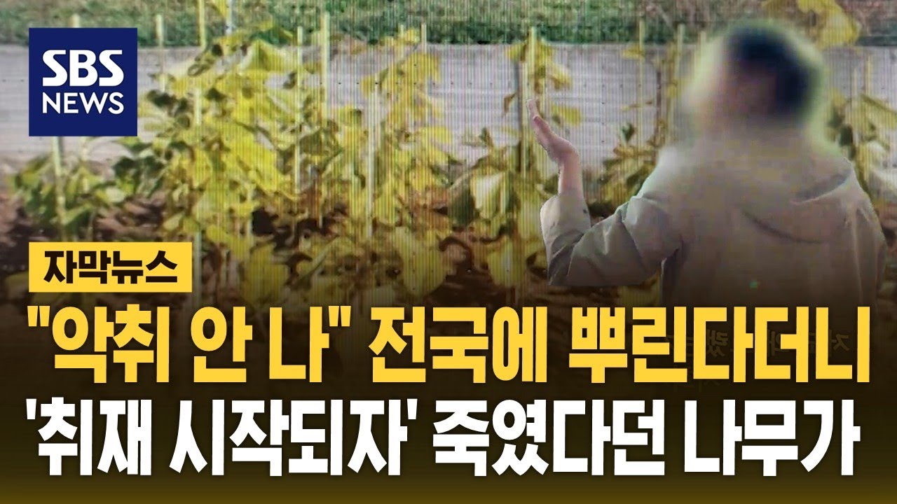악취가 없어? 
