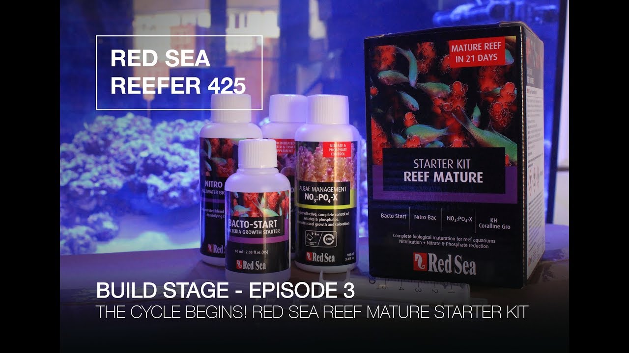 RED SEA REEFER 425 BUILD SERIES - Episode 3 - CYCLING THE TANK AT LAST!