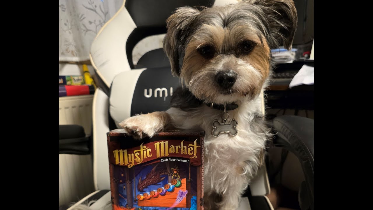 Regeln zu Mystic Market