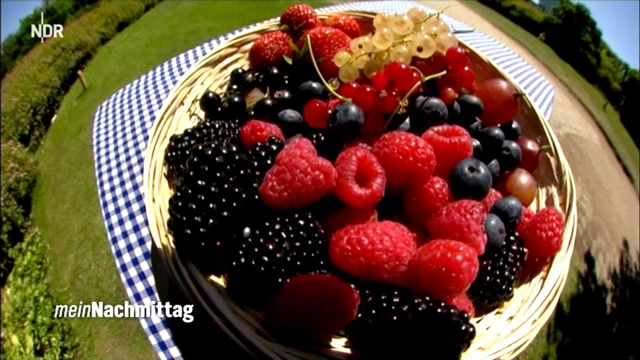 NDR Mein Nachmittag&ndash; Beerenobst (Live aus Ellerhoop)