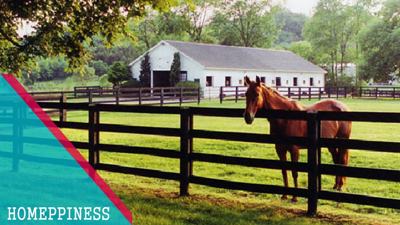 30+ Horse Fence Ideas That Are Easy To Make