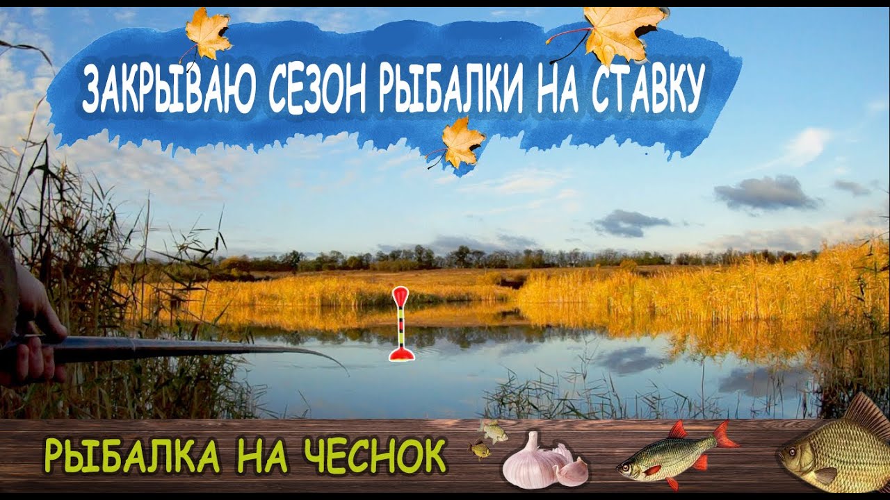 Рыбалка на поплавок Закрытие сезона рыбалки на ставке ловля карася на чеснок  осенняя рыбалка