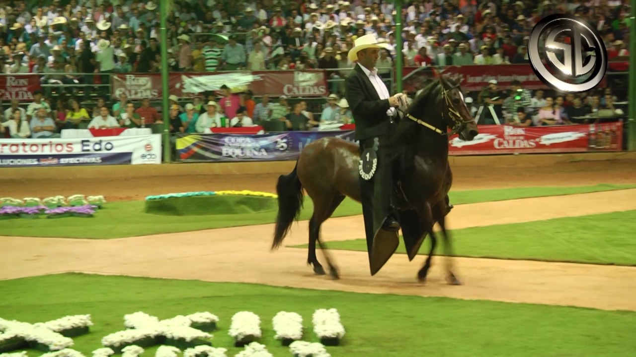 Tripleta de Santa Isabela  Campeona Reservada Nacional De la Trocha Colombiana 2017