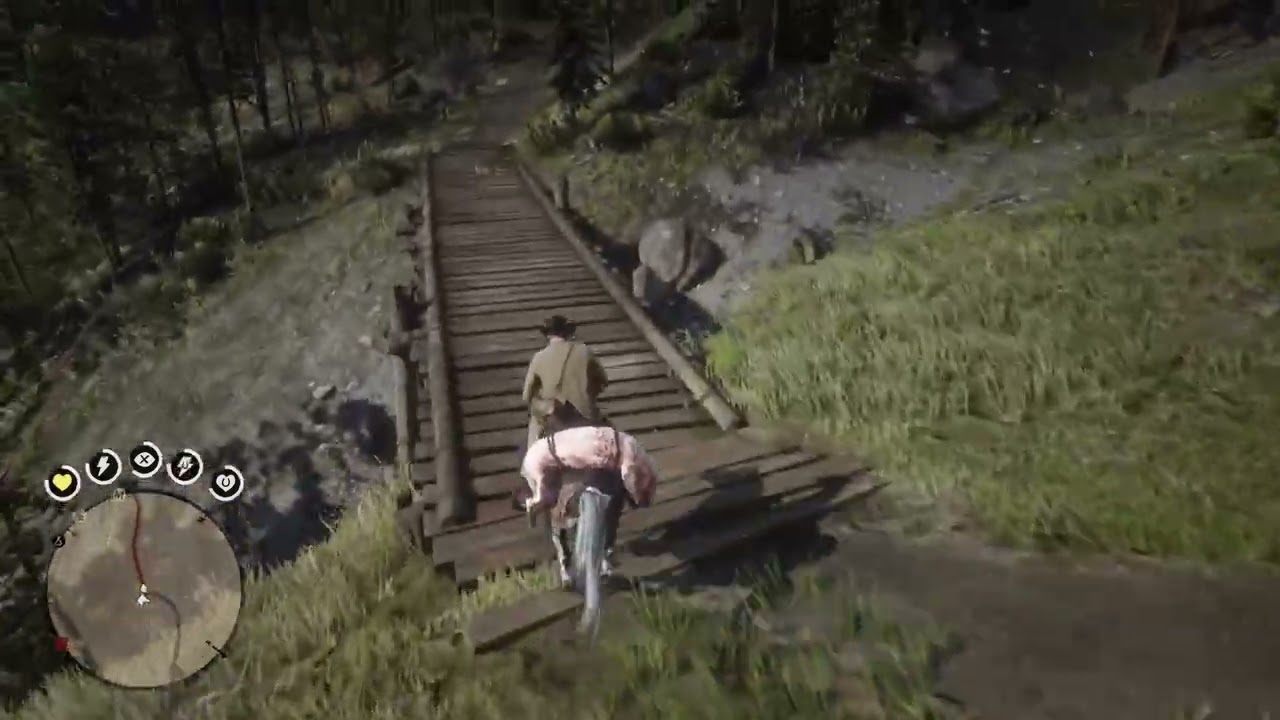 Red Dead Redemption 2 | Western Bull Moose location (Chez Porter)