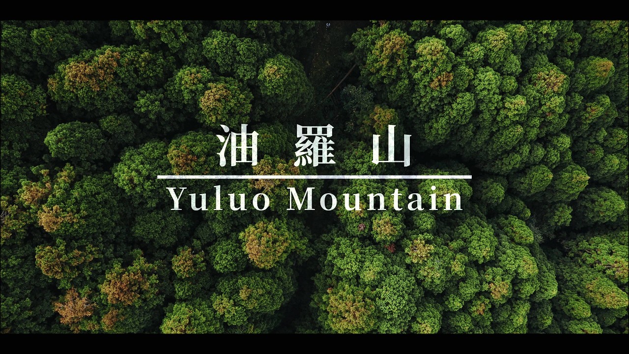 山的記憶｜從空中重逢油羅的百年林相