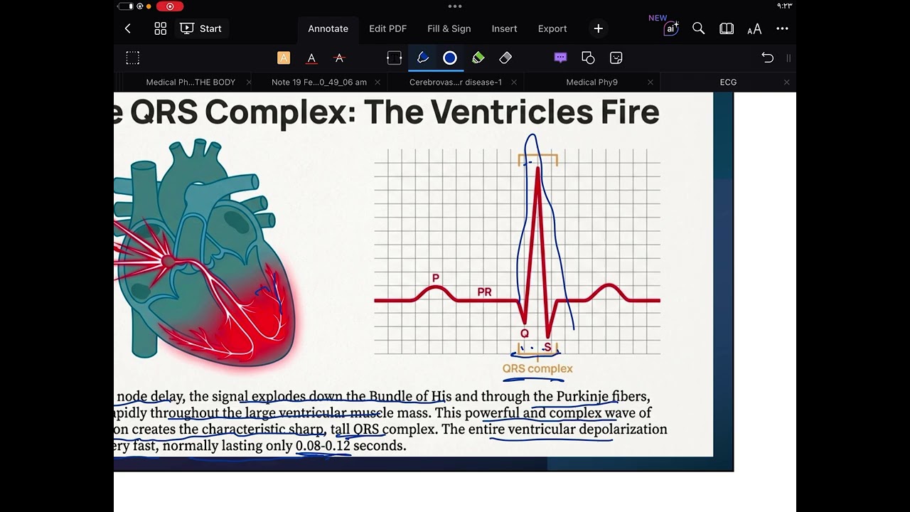 مادة الفيزياء الطبية طب العميد Physics of ECG I G1S1 I Physics I Ameed Collage
