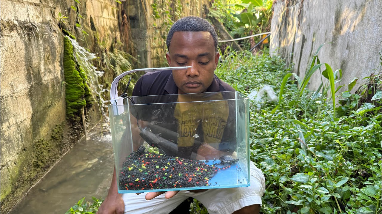 La ca&ntilde;ada arrastr&oacute; esto hasta el criadero