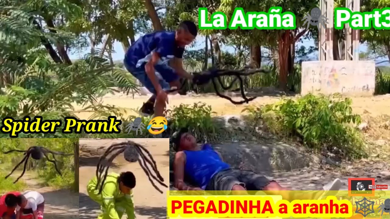 la araña Broma 🕷️🕸️/ pegadinha a Araña/ spider prank