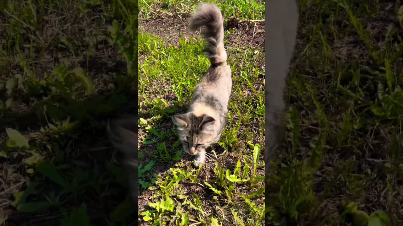 Чудесное лето🥰 