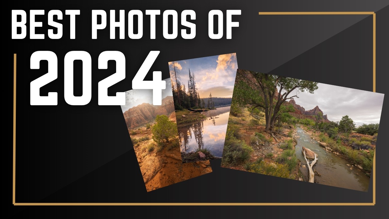 Best Photos of 2024