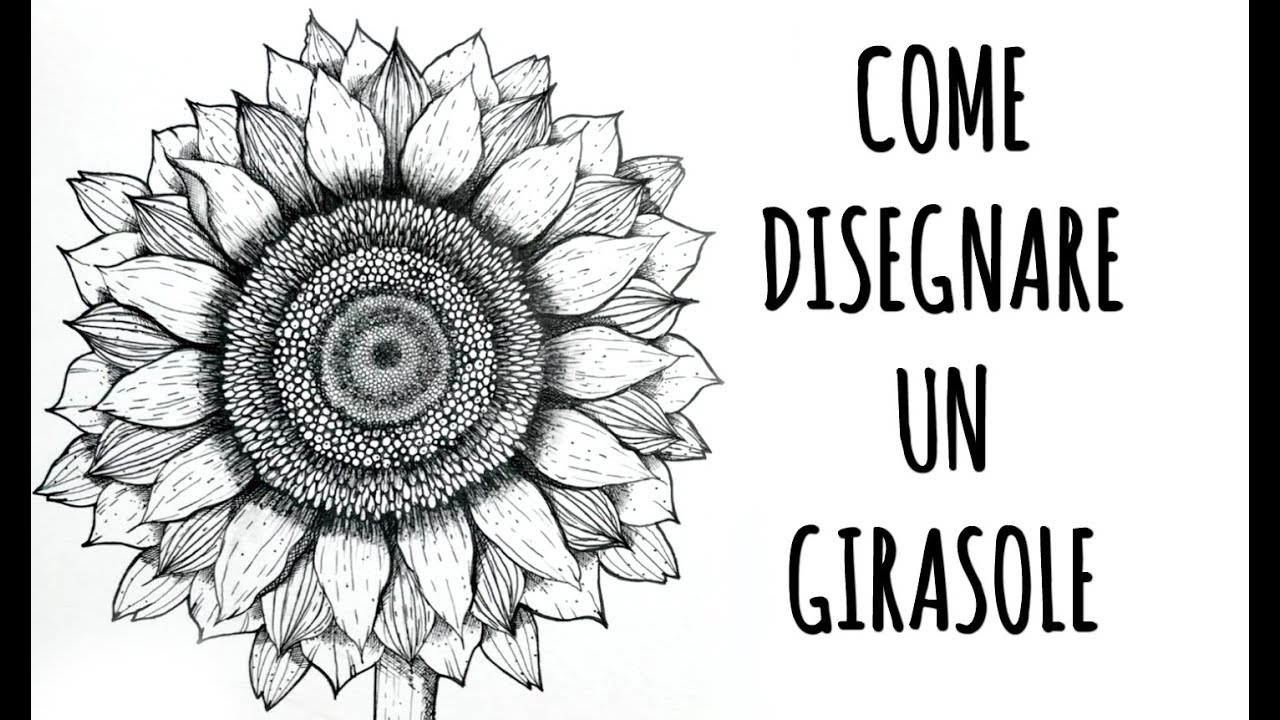 Come DISEGNARE UN GIRASOLE in modo facilissimo! How to draw a simple Sunflower Arte per Te