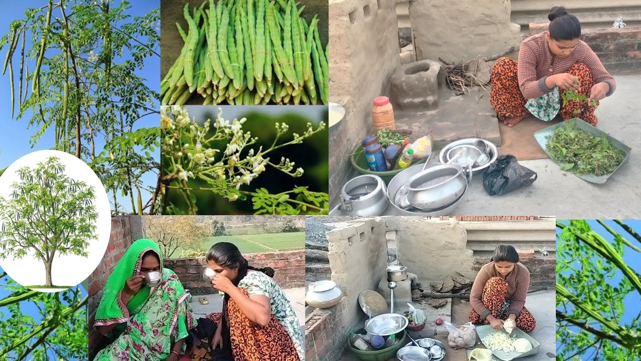 🪴खांसी जुकाम को दूर💁करें मोरिंगा से गंभीर बीमारियां ठीक करें|🌞Morning Lunch VillageLife Indiangirls