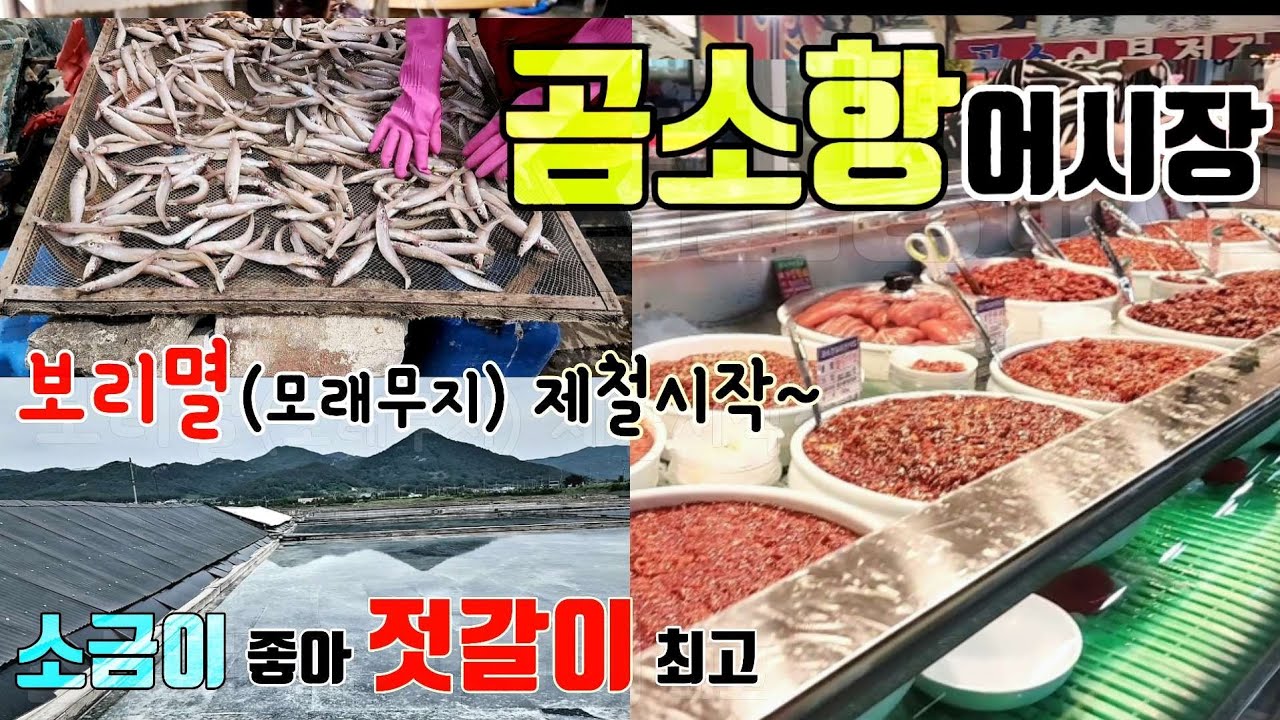 ♤곰소항 구경한번 하세요~ 제철 수산물과 젓갈이 최고!!! 말린생선의 성지~~~그리고 소금빵 까지~~~