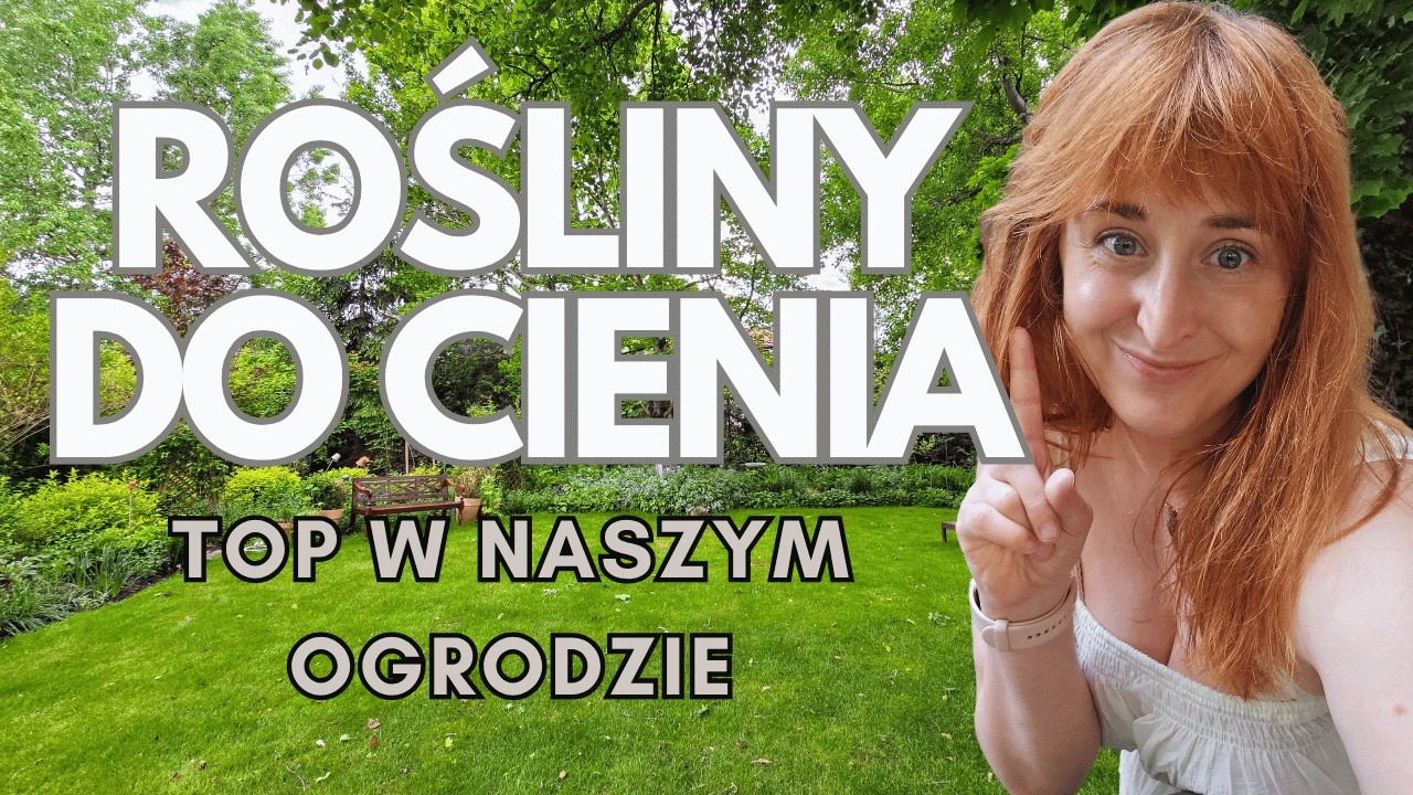 Masz zacieniony kąt i nie wiesz co tam posadzić? 🌱 Zobacz co sprawdza się w naszym ogrodzie!