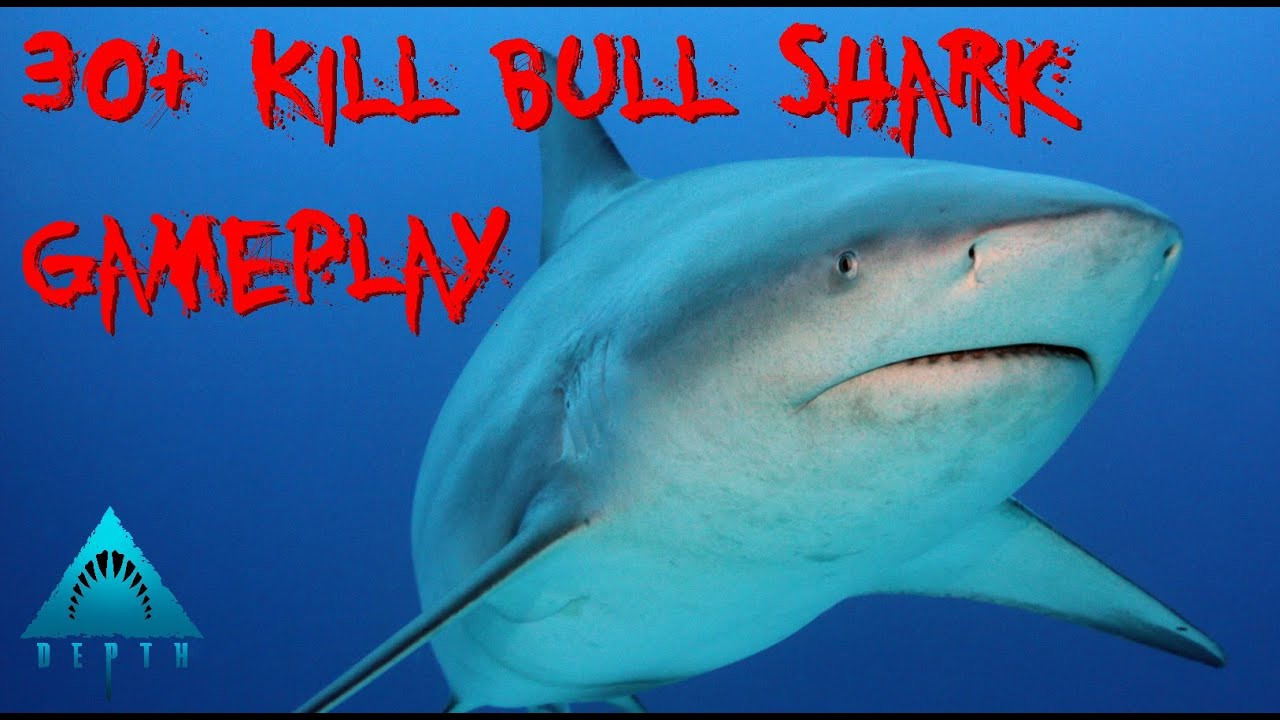 Depth |Gameplay| 30+ Kills Shark Game (Bull)