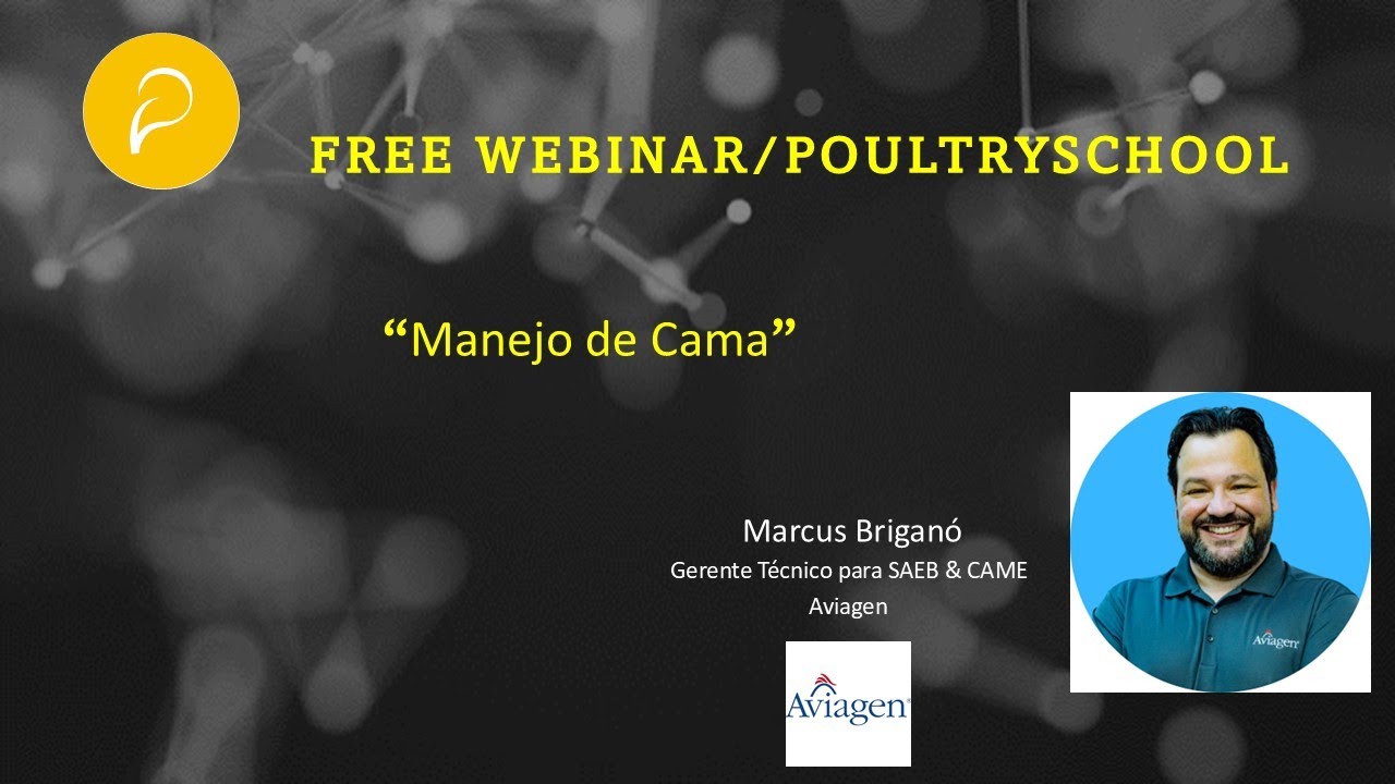 Manejo De Cama Y Control De Alphitobius D. En Granjas De Pollo - Marcus Brigan&oacute;