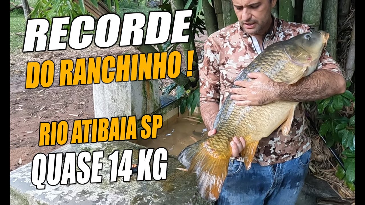 OUTRA CARPONA NO RANCHINHO! GIGANTE DE 14KG DO RIO ATIBAIA.