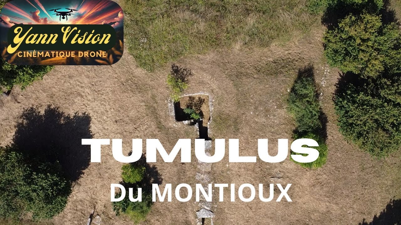 Tumulus du Montioux à Ste Soline 79