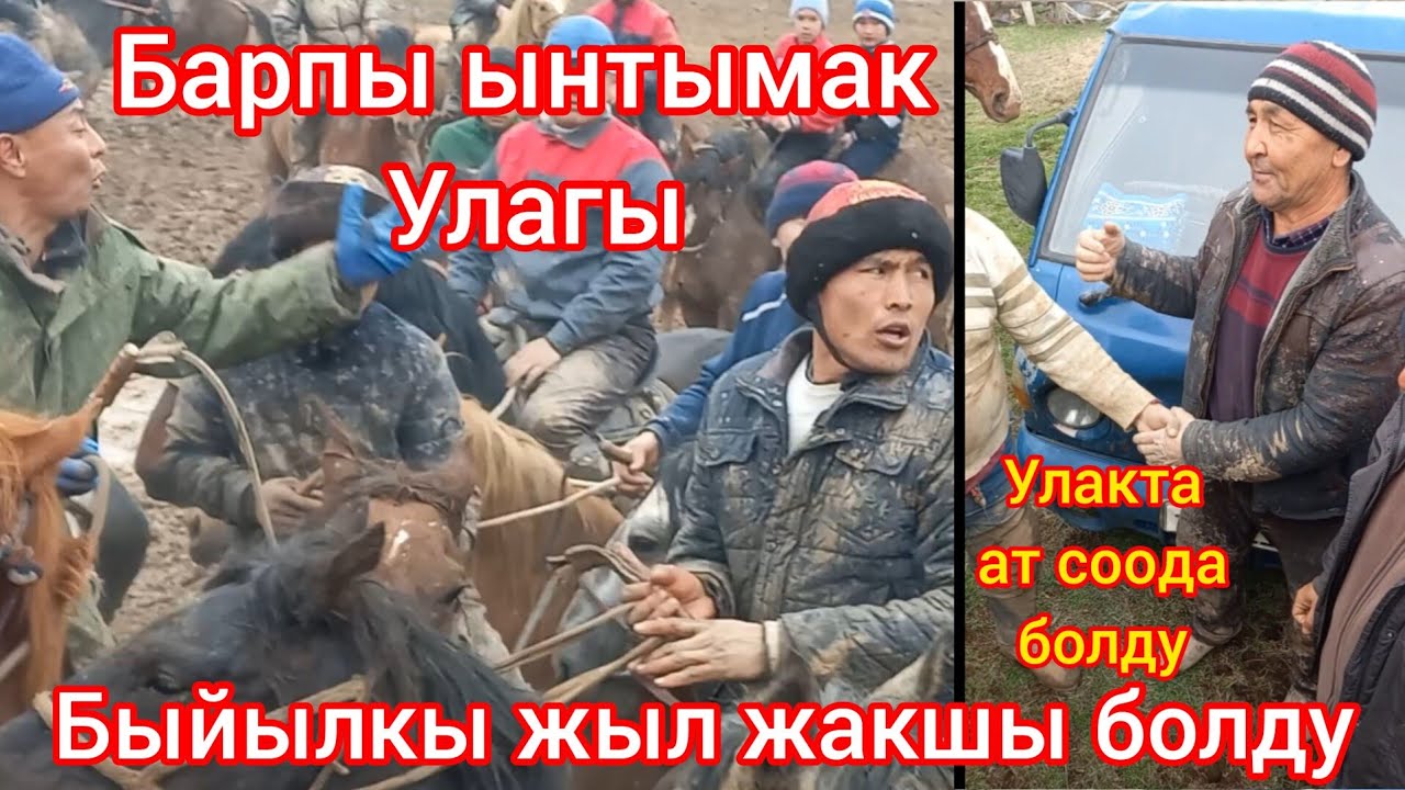 Барпы ынтымак улагы