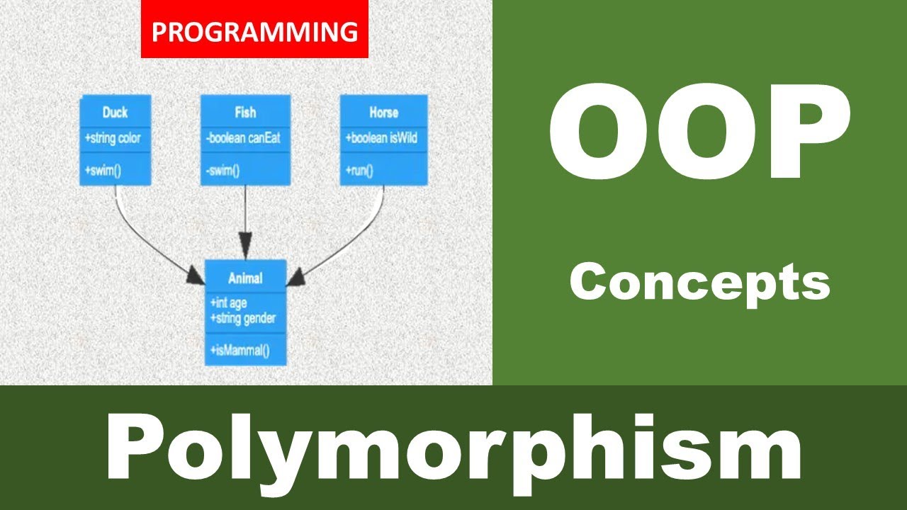 Polymorphism Explained with Fun Examples! | Polymorphism  in OOP