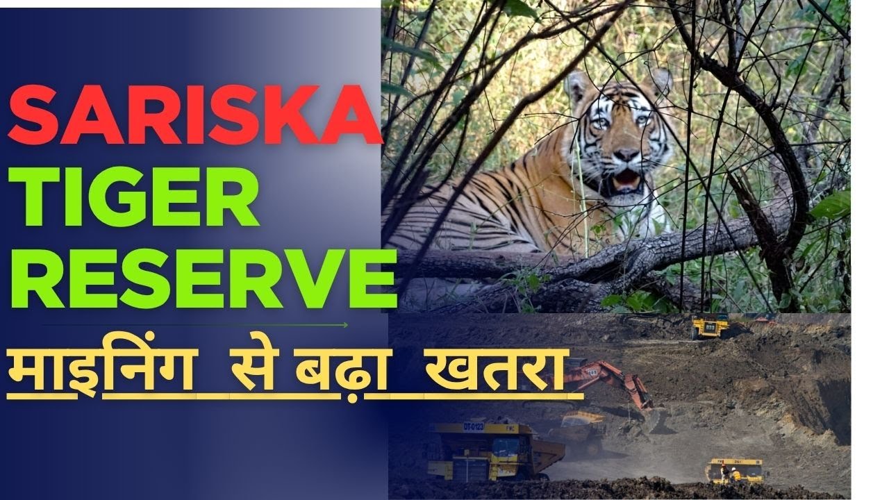Sariska Tiger Reserve in Danger? 🐯 | Mining Threatens Wildlife Habitat