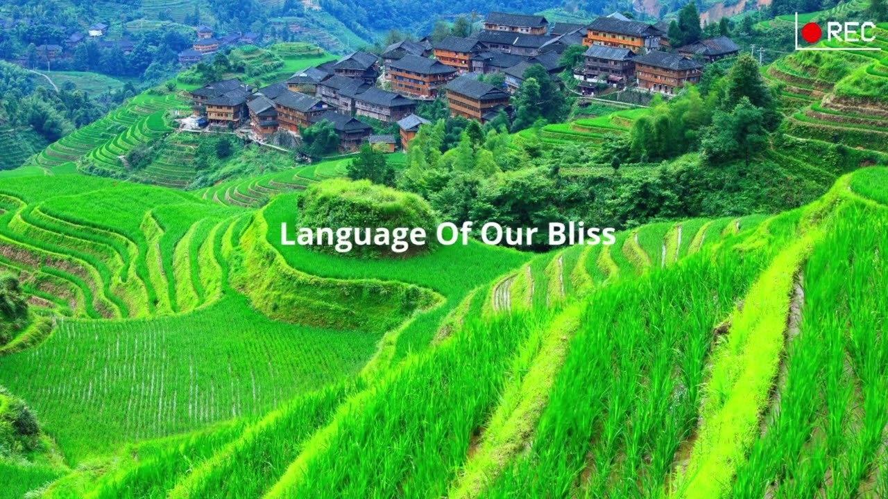 Language Of Our Bliss
