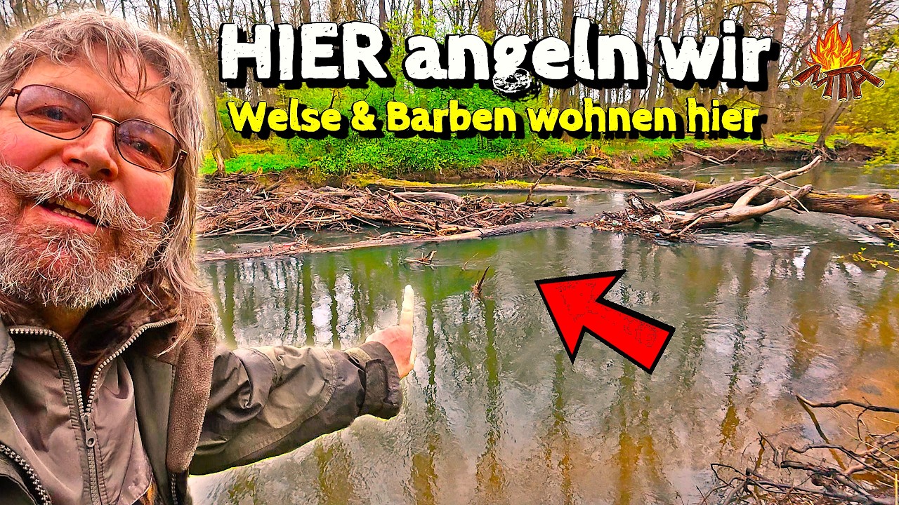 ANGELVERBOT: Trotzdem Angeln auf Barbe und Wels vorm Totholz