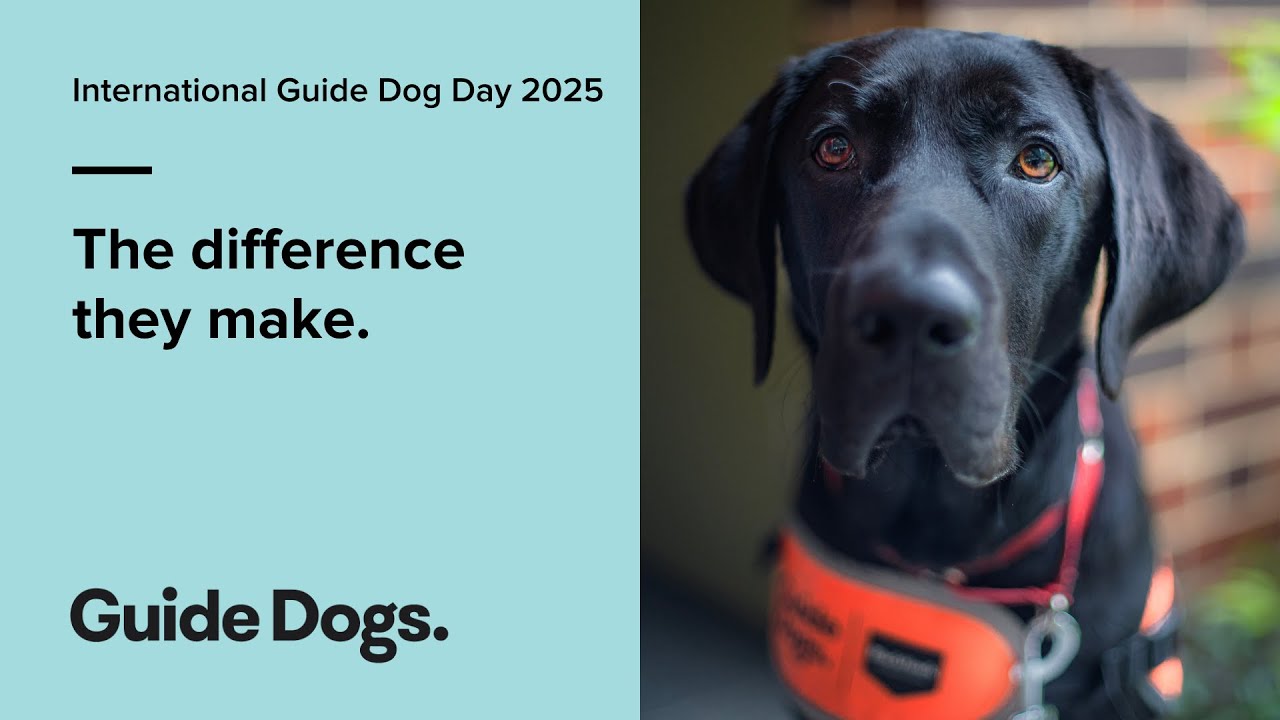 The difference they make - International Guide Dog Day 2025