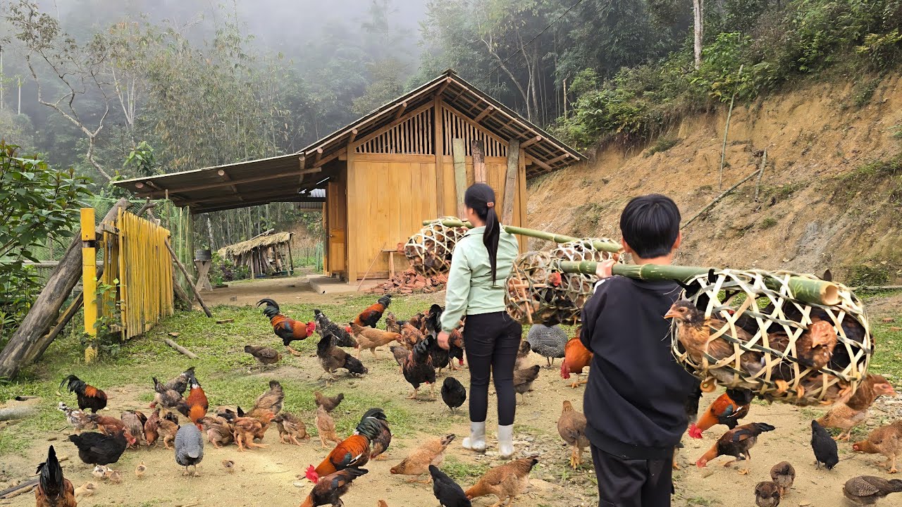 The woman and her son are transporting the chickens back to the farm. (chicken farming)