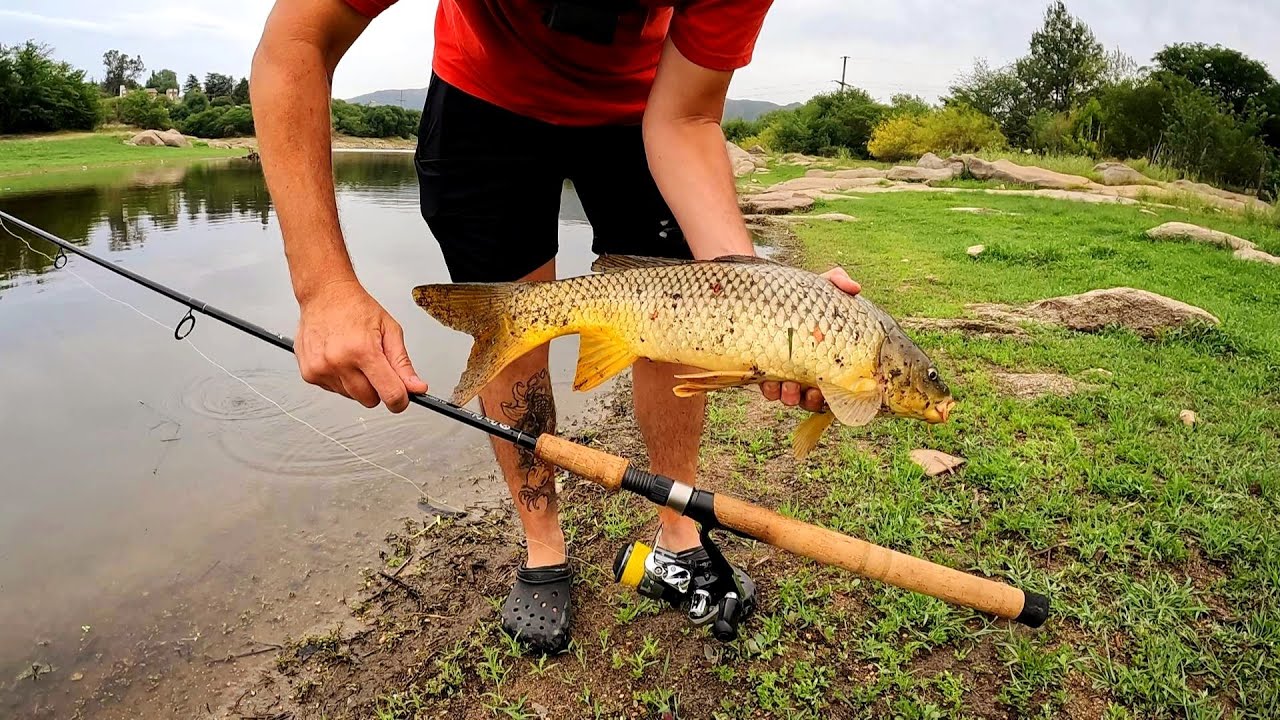 PESCA y COCINA. Carpas y chori pan. Córdoba